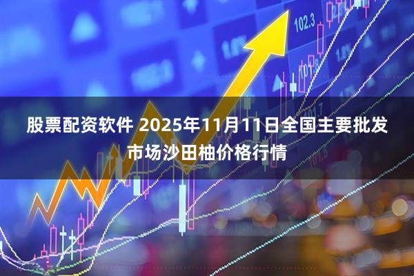 股票配资软件 2025年11月11日全国主要批发市场沙田柚价格行情